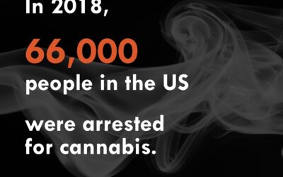 While many states have now legalized or decriminalized cannabis, the number of arrests for possession and distribution is still alarmingly high. Thousands of humans are currently incarcerated for cannabis related offenses. These facts are juxtaposed against the multibillion-dollar cannabis industry that currently benefits industry giants as well as state and federal tax authorities. Learn more about these inequities by clicking the link in our bio to subscribe. #corecannabismuseum @corecannabismuseum