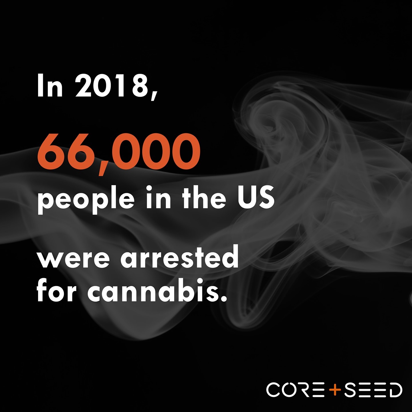 While many states have now legalized or decriminalized cannabis, the number of arrests for possession and distribution is still alarmingly high. Thousands of humans are currently incarcerated for cannabis related offenses.These facts are juxtaposed against the multibillion-dollar cannabis industry that currently benefits industry giants as well as state and federal tax authorities.Learn more about these inequities by clicking the link in our bio to subscribe. @corecannabismuseum
