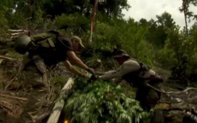 American tax dollars are still being used to conduct cannabis raids. Remember that when you file your taxes on May 17th. #coreissue #core #socialjusticecannabismuseum #cannabismuseum