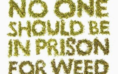 🏽 if you agree. @cannabiscapes #coreissue #core #corecannabismuseum #americanwarden
