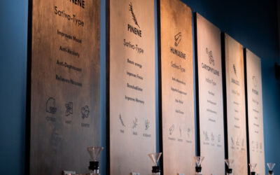 Terpenes are the aromatic compounds in cannabis that give each strain a unique fragrance. Just like aromatherapy- it is the combination of terpenes alongside cannabinoids that endow each strain with a specific psychoactive personality. Experience the aromas of cannabis through our Terpene exhibit. #riotofperfumes #core #corecannabismuseum