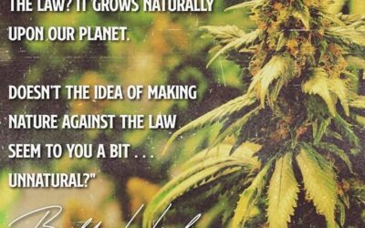 Yes. It does. @ladyvoluntary #americanwarden #coreissue #ripbillhicks #core #corecannabis #socialjusticecannabismuseum #bostonmuseum #billhicks