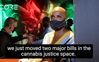 “We just moved two major bills in the cannabis justice space…the MORE Act, which is a marijuana opportunity, reentry expungement, and…the SAFE Banking Act to harmonize the financial industry with the cannabis industry.” I’ve also been fighting for those businesses to be eligible for PPP. I know that you all hav been excluded, so there’s still a lot of stigma in a lot of ways.” ~ Congresswoman Ayanna Pressley (MA-07), during her visit to Core Cannabis Social Justice Museum. #coreissue #ayannapressley #moreact #safebankingact #cannabispolicy #coremuseum #socialjusticecannabismuseum #bostonmuseum #cannabismuseum