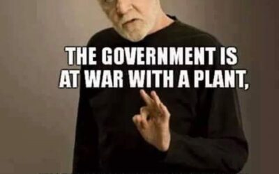 Don’t you think it’s time to end the war? #coreissue #coremuseum #socialjusticecannabismuseum #bostonmuseum #cannabismuseum #ripgeorgecarlin