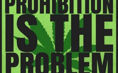 This is the #coreissue #coremuseum #socialjusticecannabismuseum #bostonmuseum #cannabismuseum #waroncannabis #endprohibition