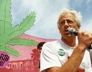 The LGBTQ community was instrumental in creating California’s Proposition 215, making it the first state in the nation to legalize cannabis for medical use. #pridemonth #cannabislgbtq Dennis Peron began to publicly advocate for medical cannabis in the early 1990s after seeing how it helped people with AIDS, including his late partner, cope with symptoms such as pain, nausea and wasting. Peron opened the first public cannabis dispensary in the United States, the San Francisco Cannabis Buyer’s Club, which aimed to provide a safe place for sick people to safely obtain and use medical marijuana. It also became a cultural hub and headquarters of the fight for medical cannabis in California. https://www.cancerhealth.com/blog/rip-medical-marijuana-pioneer-dennis-peron #coremuseum #socialjusticecannabismuseum #bostonmuseum #cannabismuseum
