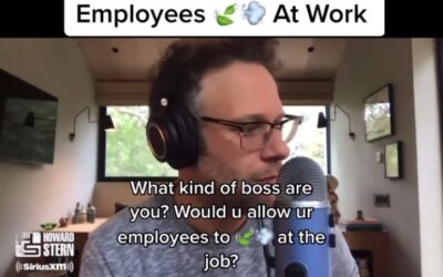 If you were a CEO, what would be your policy on cannabis usage? #sethrogan #coremuseum #socialjusticecannabismuseum #bostonmuseum #cannabismuseum #howardstern