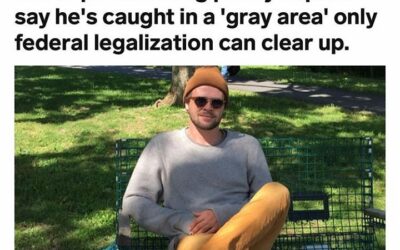 Crossing state lines. Learn more about the collision between state and federal law under the Commerce Clause in this well written article about the case against Jonathan Wall. Prosecutors say Wall transported over 1000 kilograms of cannabis from California to Maryland over two years. If convicted, he faces a sentence of up to 15 years in federal prison. #coreissue #coremuseum #socialjusticecannabismuseum #bostonmuseum #cannabismuseum #corecannabismuseum http://ow.ly/ldqE50F8ZlJ