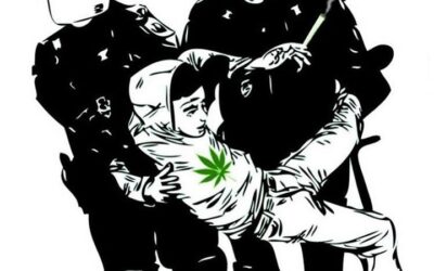 End the war! #waroncannabis Repost: @steve.deangelo #coremuseum #socialjusticecannabismuseum #bostonmuseum #cannabismuseum #warondrugs