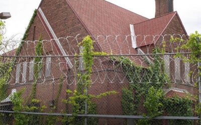 Free the people…and the plant. #growrights #deregulation #nycannabis #coremuseum #socialjusticecannabismuseum #bostonmuseum #cannabismuseum #corecannabismuseum http://ow.ly/38Q450Fc4cU