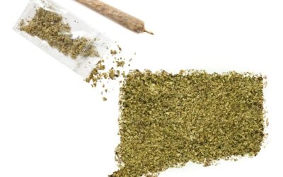 Congrats Connecticut on legalizing cannabis! Here are things you should know about the new law: Those 21 and older are allowed to openly possess 1.5 ounces of cannabis and an additional 5 ounces of cannabis in a locked container. Wherever you are allowed to smoke tobacco, you are permitted to use cannabis if you are 21+. You cannot grow your own (yet). Connecticut residents will be allowed to grow their own marijuana plants, but not until July 1, 2023. #coremuseum #socialjusticecannabismuseum #bostonmuseum #cannabismuseum #ctcannabis #connecticutcannabis #ctlegalizedit