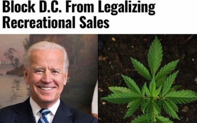 Fundamentally consider whether the government has the right to determine how and when you interact with plants. #coreissue #bidencannabis #bidenmarijuana #coremuseum #socialjusticecannabismuseum #bostonmuseum #cannabismuseum