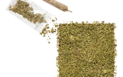 Recreational marijuana became legal in New Mexico on June 29 Under the new law, adults age 21 and older can possess a maximum of two ounces outside the home. You can legally possess more than two ounces inside your home, but it “must not be visible from a public place,” so discretion is key. #coremuseum #socialjusticecannabismuseum #bostonmuseum #cannabismuseum #newmexicocannabis #newmexicolegalizedit