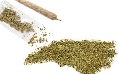 A key Senate committee gave overwhelming approval to a proposal to allow marijuana use in North Carolina for certain medical conditions and to set up a state network for supply and distribution of the drug. The vote was historic. No North Carolina Senate committee has ever taken a vote on medical marijuana. #coremuseum #socialjusticecannabismuseum #bostonmuseum #cannabismuseum #northcarolinacannabis #nccannabis #cannabislaw