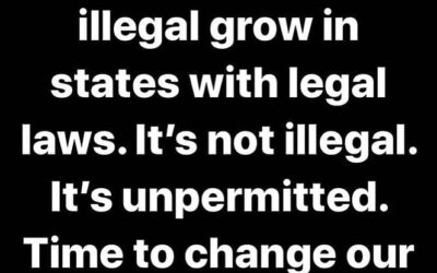 Question the language that the government and media use when characterizing cannabis. #coreissue #americanwarden #coremuseum #socialjusticecannabismuseum #bostonmuseum #cannabismuseum