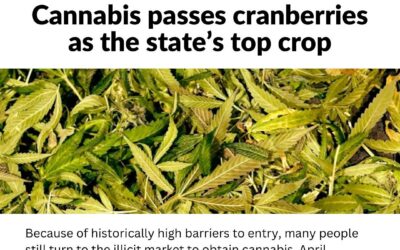 Because of historically high barriers to entry, many people still turn to the illicit market to obtain cannabis, April Arrasate said. Arrasate is the founder and CEO of Seed, a Boston dispensary, and founder and executive director of Core Social Justice Cannabis Museum. Link in bio