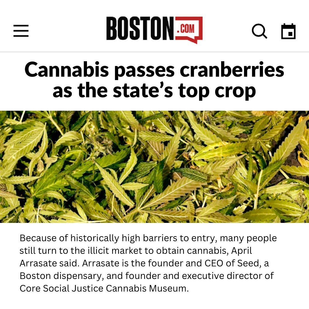 Because of historically high barriers to entry, many people still turn to the illicit market to obtain cannabis, April Arrasate said. Arrasate is the founder and CEO of Seed, a Boston dispensary, and founder and executive director of Core Social Justice Cannabis Museum.Link in bio