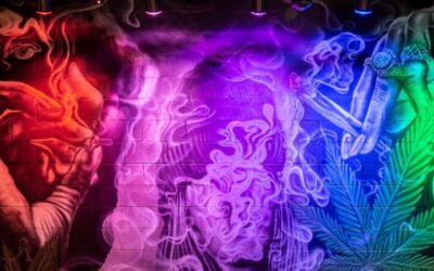 Come visit us to see the brilliant Corey Pane’s graffiti art. Follow us here and check us out at the link in our bio! #cannabis #cannabisjustice #justice #criminaljustice #criminaljusticereform #incarceration #equality #equalityforall #boston #massachusetts #marijuana #marijuanalegalization #graffiti #graffitiart