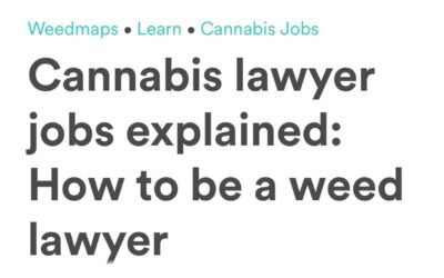 CORE Executive Director April Arrasate spoke with @weedmaps about how to be a cannabis lawyer. Check out their site for the full story! #cannabis #cannabisjustice #justice #criminaljustice #criminaljusticereform #incarceration #equality #equalityforall #boston #massachusetts #marijuana #marijuanalegalization #wednesday #wednesdaywisdom
