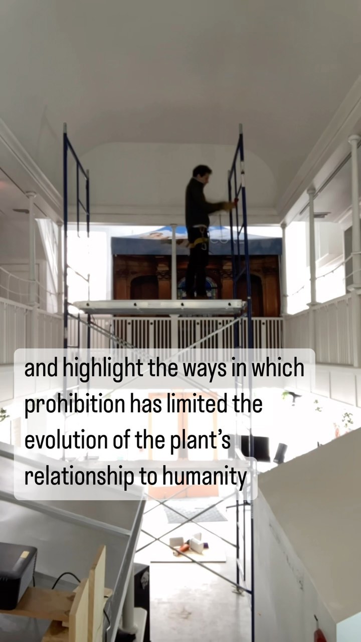 Coming soon to the Core Cannabis Museum in Portland! Stay in touch with us here to learn more.