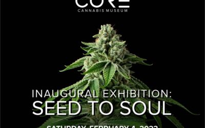 We appreciate your support as we continue to help tell the history of American Drug Policy and its social and cultural impacts. Join us for a VIP Sneak Peek of the new Seed to Soul Exhibit at our Portland location. Jamaica Plain shows us how cannabis prohibition affects people and how incarceration affects our society. In Portland, we take you through the journey of how these upside-down policies affected the plant. A night filled with live music; raffles; local food; drinks; art; and more! DM us to reserve your spot to take a look before everyone else. #cannabis #cannabisjustice #justice #criminaljustice #criminaljusticereform #incarceration #equality #equalityforall #boston #massachusetts #marijuana #marijuanalegalization #maine #portland #portlandme #friday #fridayvibes