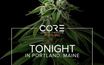 Feeling the chill, but ready to turn up the heat at Core Portland’s exclusive VIP sneak peek ️ #CorePortland #VIPExperience #coldfront #hotspot