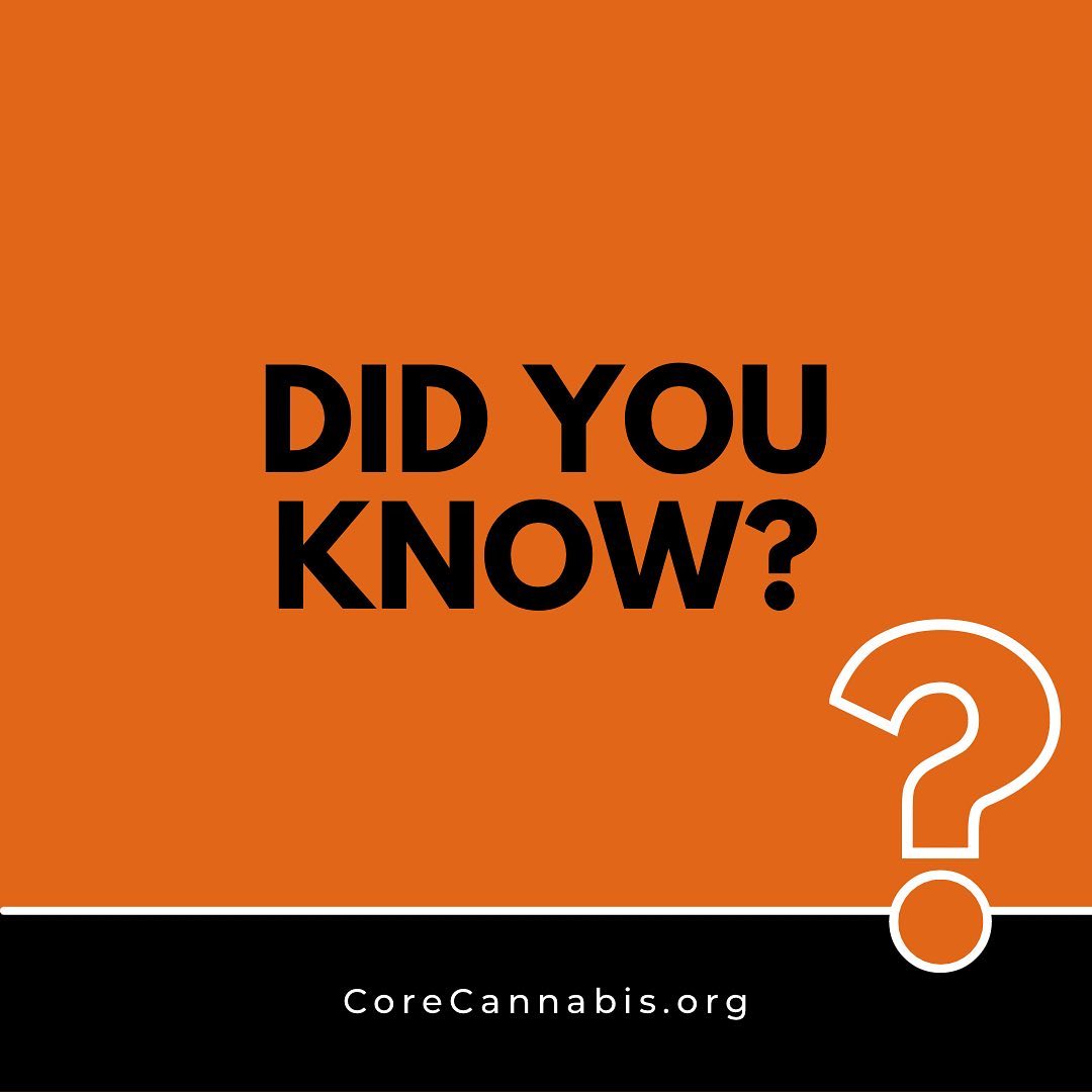 Your Fourth Amendment rights are curtailed in many states by the “Plain View Doctrine” and the “Plain Smell Doctrine.” Our mission at Core is to help the public understand these laws so we can push for change with eyes wide open. Share this post with a friend and come visit us to learn more — or click the link in our bio!