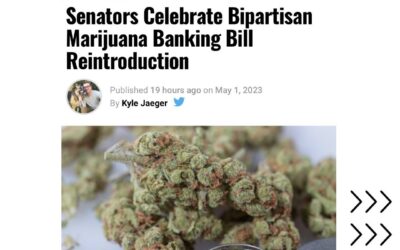 Cannabis customers and businesses deserve a safe and convenient way to pay for products. We’re cautiously optimistic about this legislation. Swipe for our full statement! #safe #safebanking #cannabis #cannabisjustice #justice #cannabislegalization #marijuana #marijuanalegalization #legalization #drugwar #boston #bostonma #portland #portlandme #museum #jamaicaplain #jamaicaplainma #criminaljustice #criminaljusticereform #tuesday #tuesdaymotivation