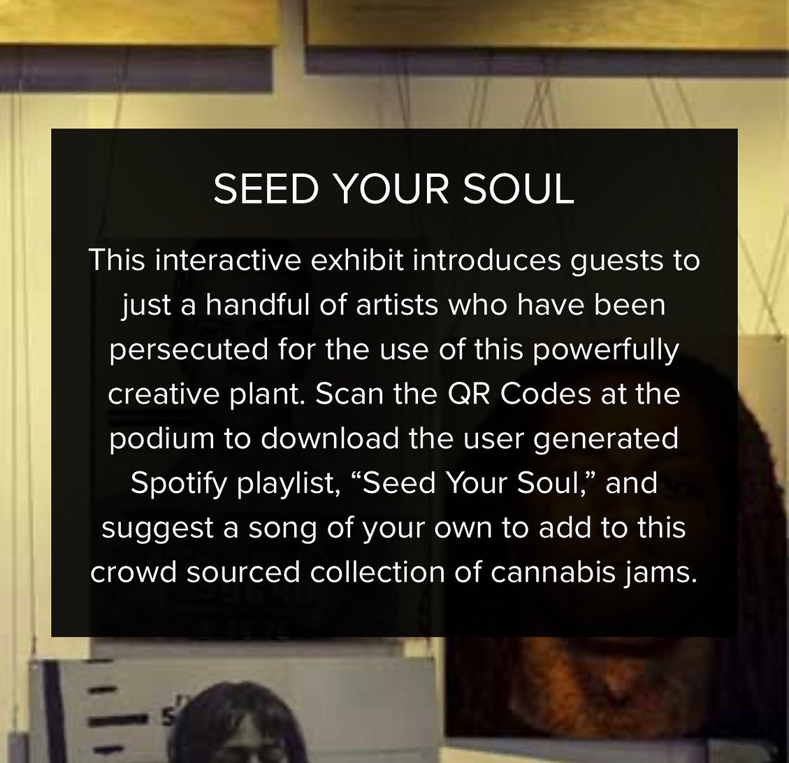 Countless artists have been persecuted over the years for their use of cannabis. Our Seed Your Soul exhibit is an interactive playlist of cannabis jams to celebrate these artists. Come visit the country’s first cannabis museum this weekend!