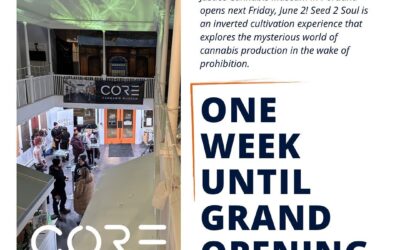 ONE WEEK until the inaugural exhibit at our Portland museum opens to the public — Friday, June 2, at 3 p.m. We’re located at 555 Congress Street in Portland, Maine. Media are invited to book sneak peek tours guided by Executive Director April Arrasate from Wednesday, May 31, to Friday, June 2, prior to the exhibit opening to the public. DM us here for info! #cannabis #cannabisjustice #justice #cannabislegalization #marijuana #marijuanalegalization #legalization #drugwar #boston #bostonma #portland #portlandme #museum #jamaicaplain #jamaicaplainma #criminaljustice #criminaljusticereform #friday #fridayvibes