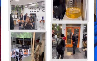 It’s almost here! Seed 2 Soul at our new cannabis museum in Portland, Maine, premieres this Friday, June 2, at 3 p.m. Seed 2 Soul is an inverted cultivation experience that explores the mysterious world of cannabis production in the wake of prohibition. Join us! #cannabis #cannabisjustice #justice #cannabislegalization #marijuana #marijuanalegalization #legalization #drugwar #boston #bostonma #portland #portlandme #museum #jamaicaplain #jamaicaplainma #criminaljustice #criminaljusticereform #tuesday #tuesdaymotivation #grandopening