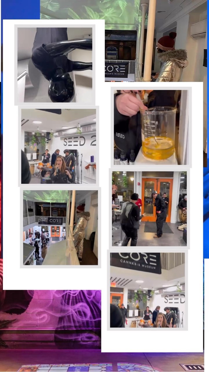 It’s almost here! Seed 2 Soul at our new cannabis museum in Portland, Maine, premieres this Friday, June 2, at 3 p.m. Seed 2 Soul is an inverted cultivation experience that explores the mysterious world of cannabis production in the wake of prohibition. Join us!