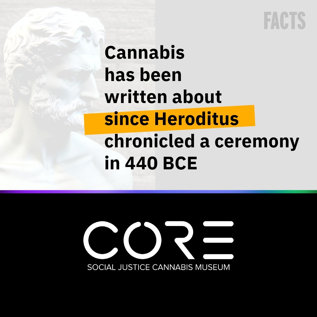 We're all about that hot history gos!Using cannabis to connect spiritually goes back a long way. While "hot boxing" may seem like a recent idea, it's actually descended from ancient traditions. In fact, Heroditus described the ritual use of cannabis in 440 BCE.Herodotus reports on a post-funeral ritual among the Scythian people which involves a cannabis vapour-bath. He writes: "After the burial the Scythians cleanse themselves as follows: they anoint and wash their heads and, for their bodies, set up three poles leaning together to a point and cover these over with wool mats; then, in the space so enclosed to the best of their ability, they make a pit in the center beneath the poles and the mats and throw red-hot stones into it. They have hemp growing in their country, very like flax, except that the hemp is much thicker and taller [...] The Scythians then take the seed of this hemp and, crawling in under the mats, throw it on the red-hot stones, where it smoulders and sends forth such fumes that no Greek vapor-bath could surpass it. The Scythians howl in their joy at the vapor-bath."Source: Herodotus (1920). The Histories. Book 4, Chapters 73-75. Cambridge: Harvard Univ. Press.There's so much more to learn! Come visit one of our museums in Jamaica Plain, MA or Portland, ME!