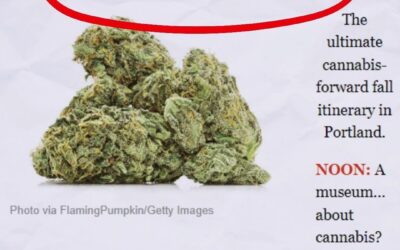 We are so honored to be listed as one of @bostonmagazine ‘s top activities for Fall. We can’t wait to see you at our Boston or Portland locations! “It’s worth checking out!”