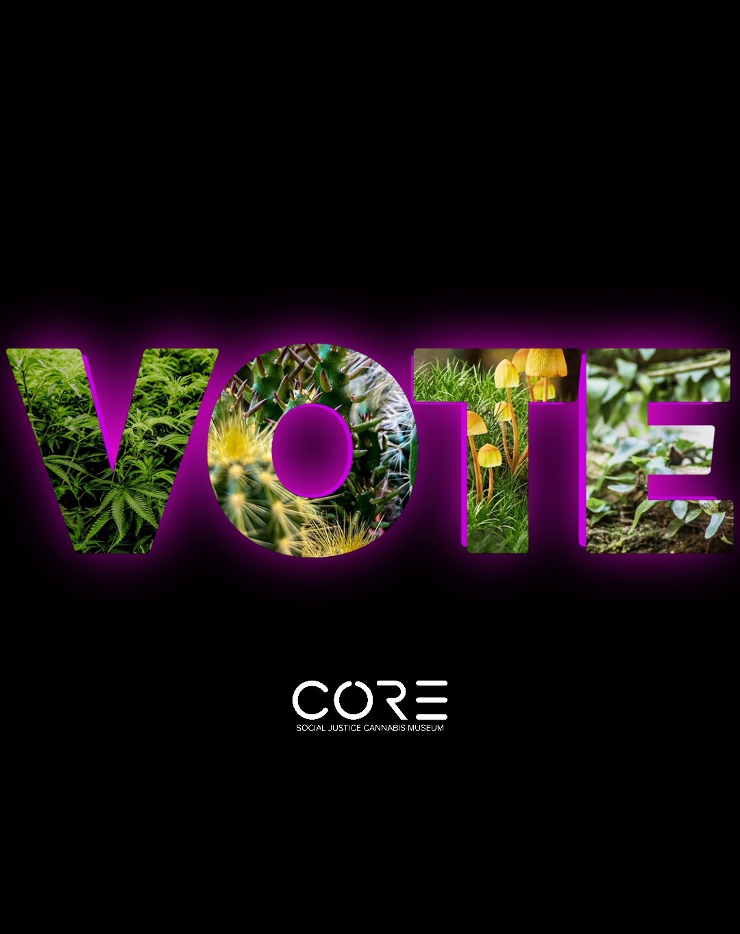 Today is around the country. In the past few years we've seen how vital the vote can be in moving away from upside-down drug policies and moving toward the public's call for decriminalization of potentially beneficial plants.Let your voice be heard.