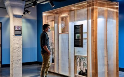 Discover how cannabis prohibition has influenced the culture, chemistry and genetics of this remarkable plant. #seedyourgarden #core #socialjusticecannabismuseum #cannabismuseum