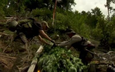 American tax dollars are still being used to conduct cannabis raids. Remember that when you file your taxes on May 17th. #coreissue #core #socialjusticecannabismuseum #cannabismuseum