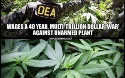 Cannabis 1, American Drug Policy 0. ? #coreissue #core #corecannabismuseum