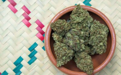 Early American drug policy propaganda blamed the proliferation of cannabis in the US on Mexican Civil War refugees. The narrative was and still is used to subvert the rights of Mexican immigrants #cincodemayo #corecannabis #coreissue #socialjusticecannabismuseum #bostonmuseum #cannabismuseum