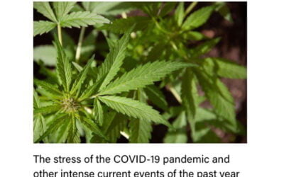 “[The fact that] most people are actually looking to the plant to ease psychological stressors… is an incredibly important discovery that helps medical professionals better understand evolving consumer relationships with cannabis.” #mentalhealthmonth #coremuseum #socialjusticecannabismuseum #bostonmuseum #cannabismuseum https://www.psychcongress.com/article/mental-health-related-demand-medical-marijuana-surges
