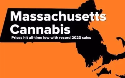 Massachusetts Cannabis price hits all-time low with record sales! #seedyourhead