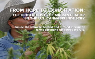 From Hope to Exploitation: The Hidden Costs of Migrant Labor in the US Cannabis Industry #corecannabismuesum #seed #seedyourhead #jamaicaplain