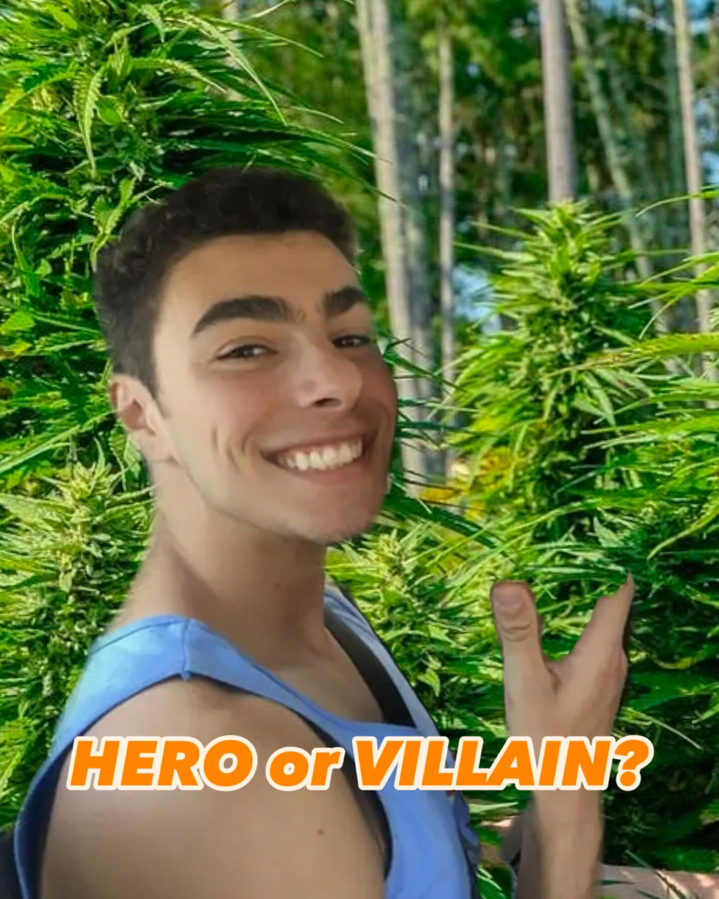 How is our cannabis community feeling?  Obviously U.S. Healthcare is a corrupt racket, like pharmaceuticals, oil, the drug war, etc.  We know the struggle.  But overt violence can be a tough pill to swallow.  Are the lives lost to the system less valuable than the CEO’s?  Is this the selfless act of a revolutionary or cold blooded murder?