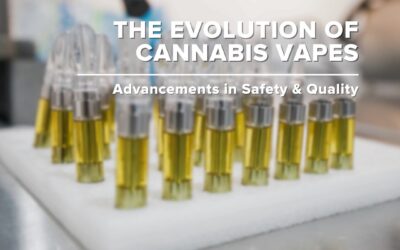 The Evolution of Cannabis Vapes: Safe, Innovative, and Transforming the Industry! From improved manufacturing standards to enhanced vape technology, cannabis vapes have come a long way in providing cleaner, safer experiences. Today’s vapes are designed with precision, ensuring a smoother, healthier session while maintaining quality and potency. Want to learn more about this journey and its connection to nature and healing? Stop by our museum and check out our latest installation, SEED 2 Soul—an immersive exploration of cannabis culture and innovation!  Experience the transformation firsthand! #CannabisVapes #corecannabismuseum #SEED2Soul #seedyourhead #natureandhealing