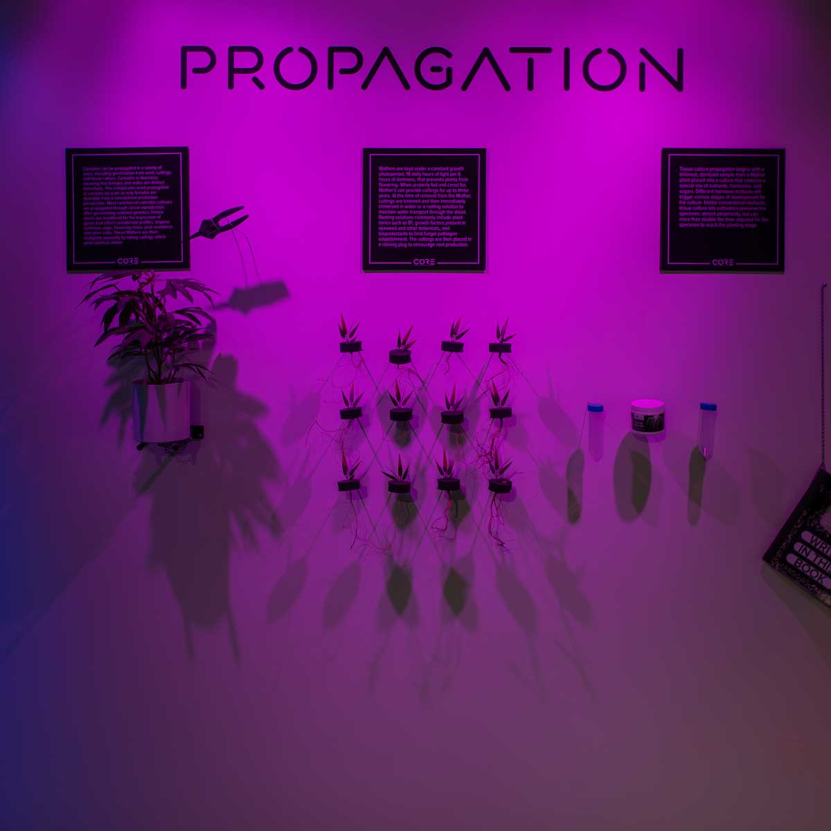 Propagation