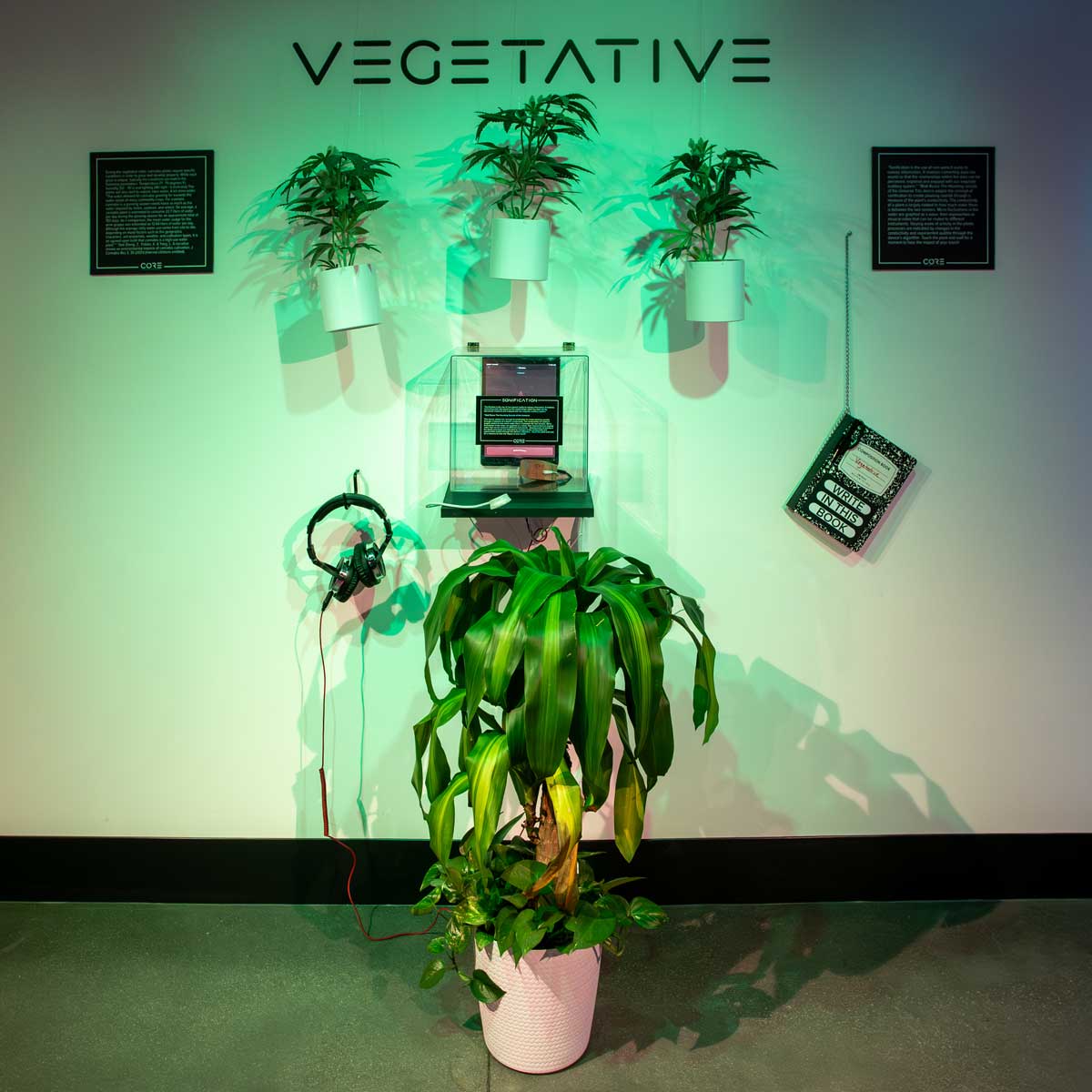 Vegetative Growth