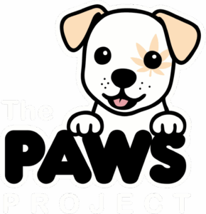 The Paws Project