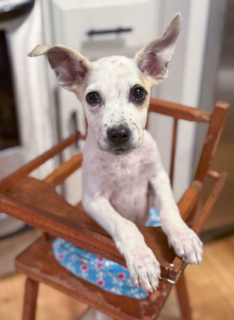 | Core Cannabis Museum vasco