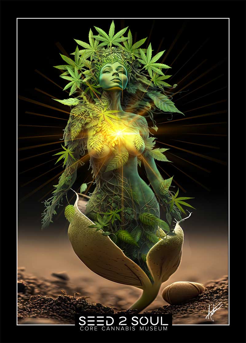 seed 2 soul